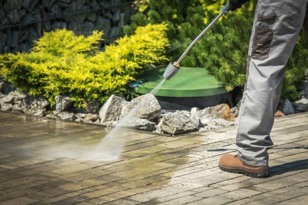 Best Patio and Deck Pressure Washing  in Oak Ridge, FL