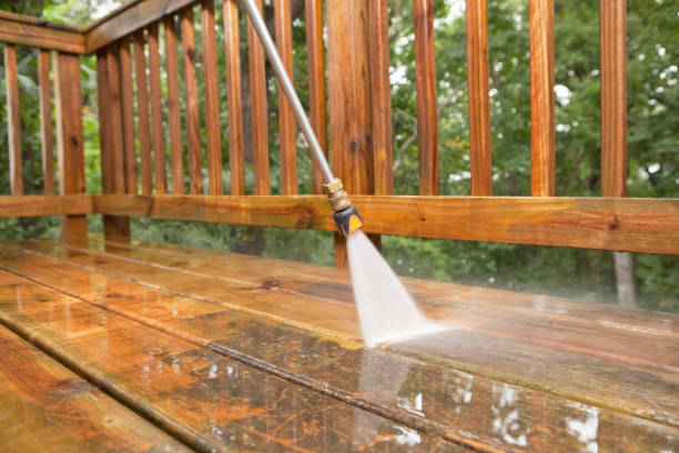 Best Building Exterior Washing  in Oak Ridge, FL